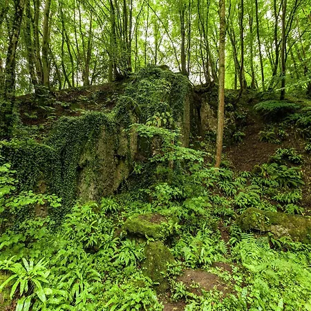 House Situated On A Magnificent Estate