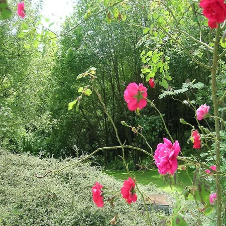 House Situated On A Magnificent Estate Дом отдыха