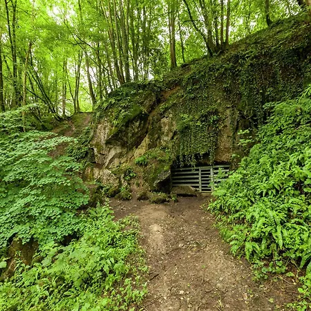 House Situated On A Magnificent Estate بارفوكس