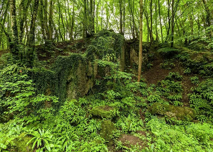 House Situated On A Magnificent Estate