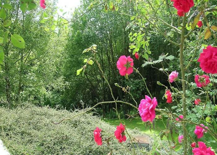 House Situated On A Magnificent Estate Hébergement de vacances