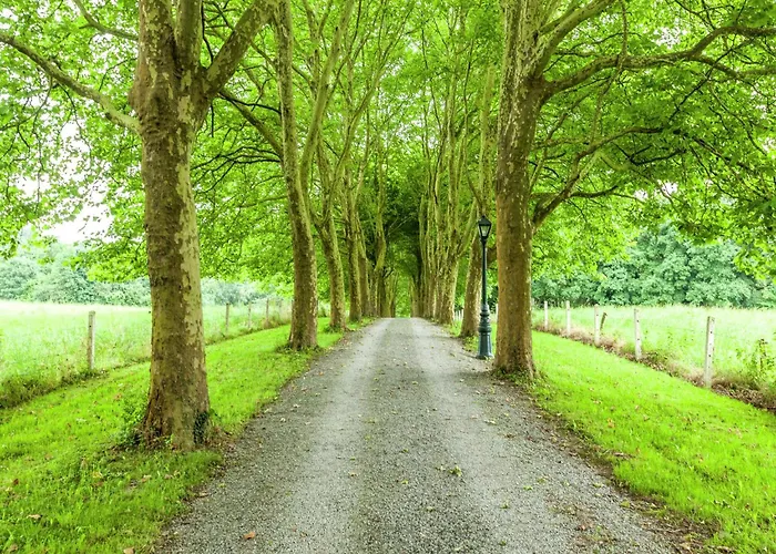 House Situated On A Magnificent Estate