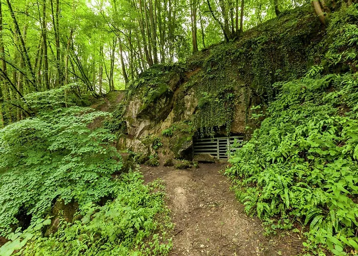 House Situated On A Magnificent Estate Barvaux