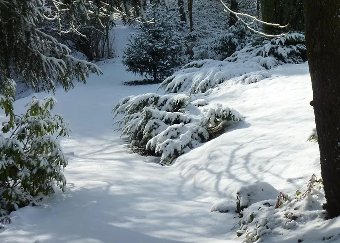 Hébergement de vacances House Situated On A Magnificent Estate Barvaux-sur-Ourthe